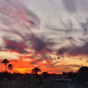 May include: A vibrant sunset over a desert landscape. The sky is filled with streaks of red, orange, and purple clouds. Silhouetted palm trees and desert vegetation are in the foreground, with houses visible in the distance.