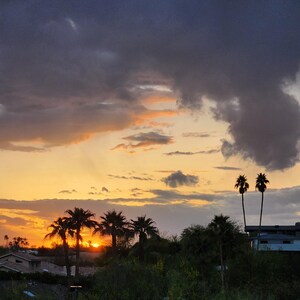May include: A scenic sunset over a landscape featuring palm trees and residential buildings. The sky transitions from dark blue to vibrant orange and yellow hues, with scattered clouds. The silhouettes of the palm trees are prominent against the colorful sky.