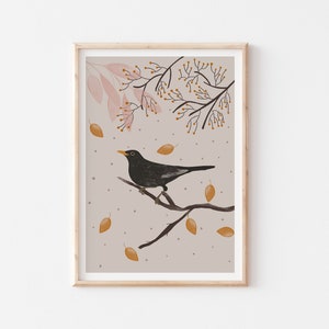 Blackbird Art Print, Birds Posters, Nature Illustration Print, Bird Print, Nature Wall Art, Dusty Pink and Black Illustration