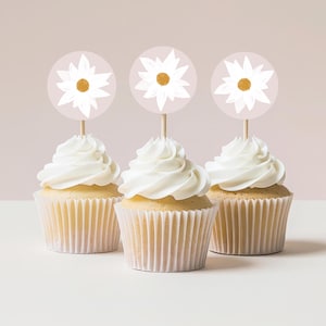Daisy Cupcake Toppers, Cake Topper, 1st Birthday Party Decor, Pink White Flower Toppers, 2nd  3rd Birthday Party Decorations