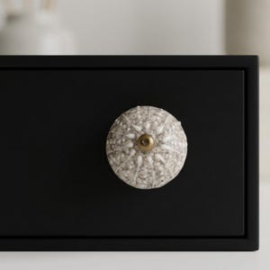 May include: A decorative cabinet knob with a sea urchin design. The knob is off-white with gray speckles and white radial patterns. It has a brass-colored center and is mounted on a black drawer.