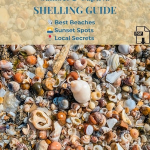May include: A PDF guide titled "THE ULTIMATE Sanibel & Captiva SHELLING GUIDE" with text about best beaches, sunset spots, and local secrets. The guide is set against a backdrop of various seashells in shades of brown, white, and orange.