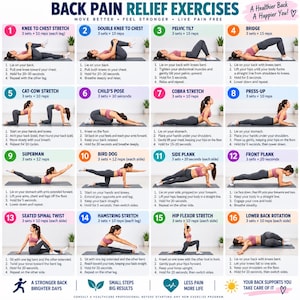 May include: An instructional chart titled Back Pain Relief Exercises featuring sixteen numbered panels. Each panel displays a person performing a specific exercise with step-by-step text instructions, including stretches like knee to chest, bridge, cobra, and planks.