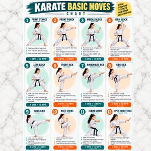 May include: A Karate Basic Moves chart featuring twelve numbered illustrations of a person in a white gi and black belt performing various stances and strikes, including front punch, blocks, and kicks, with instructional text for each move.