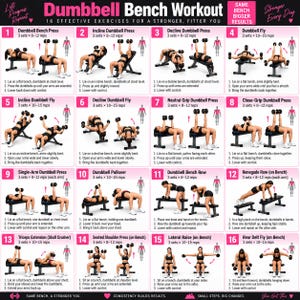 May include: A white informational poster titled Dumbbell Bench Workout featuring sixteen numbered exercise illustrations with instructions, pink accents, and text including 16 Effective Exercises For A Stronger, Fitter You and Same Bench Bigger Results.