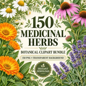 Op de afbeelding: Een digitale afbeelding met de tekst 150 MEDICINAL HERBS BOTANICAL CLIPART BUNDLE 150 PNG TRANSPARENT BACKGROUND INSTANT DOWNLOAD omringd door illustraties van witte madeliefjes, oranje goudsbloemen, roze zonnehoed en paarse lavendelbloemen.
