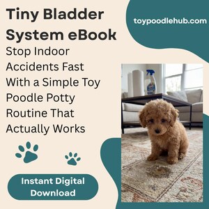 May include: An ebook cover with the title "Tiny Bladder System eBook" and the text "Stop Indoor Accidents Fast With a Simple Toy Poodle Potty Routine That Actually Works." A small, brown toy poodle puppy sits on a patterned rug. The ebook is available for instant digital download.