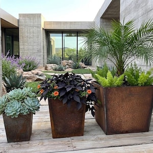 May include: Three square, weathered metal planters with various plants. The left planter holds a cluster of blue-green succulents. The middle planter has dark purple foliage with orange flowers. The right planter features a palm tree and green plants.