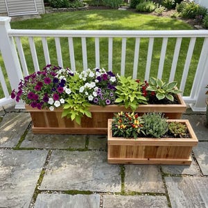 Succulent Window Box - Etsy