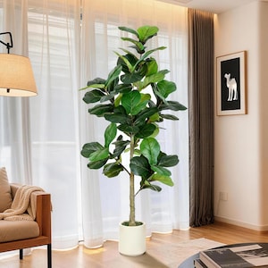 May include: A tall, artificial fiddle-leaf fig tree with large, vibrant green leaves. The tree is in a white ceramic pot. The plant is positioned in front of a window with sheer white curtains and a brown curtain. A framed picture of a camel is on the wall.