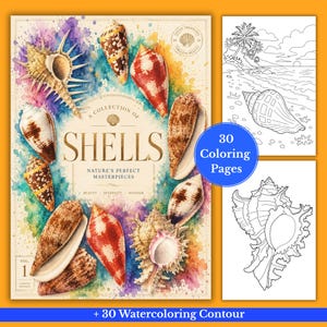 Puede incluir: Un libro para colorear titulado A Collection of Shells: Nature's Perfect Masterpieces, con ilustraciones en acuarela de varias conchas en la portada, que incluye 30 páginas para colorear y 30 páginas de contornos.