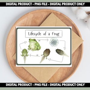 May include: A set of three ceramic mugs with a speckled, matte finish. The mugs are in shades of cream, light gray, and dark gray. Each mug has a simple, minimalist design, perfect for coffee or tea.