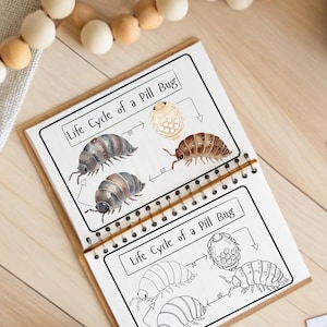 Op de afbeelding: Een set van drie keramische mokken met een gespikkelde, matte afwerking. De mokken zijn in de kleuren crème, lichtgrijs en donkergrijs. Elke mok heeft een eenvoudig, minimalistisch ontwerp en een afgeronde handgreep.