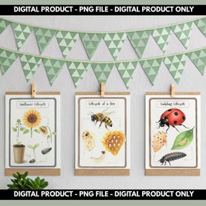 May include: A handmade, wooden serving tray with a natural finish. The tray features a rectangular shape with rounded corners and two carved handles. The wood grain is visible, adding to its rustic charm. Perfect for serving food or displaying items.