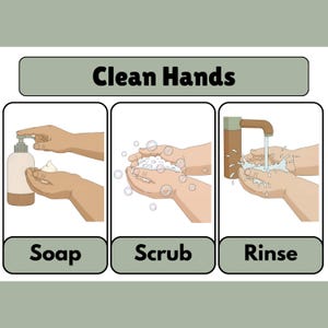 May include: A three-panel illustration demonstrating handwashing. The first panel shows a person dispensing soap from a bottle. The second panel shows hands scrubbing with soap. The third panel shows hands rinsing under running water. The text "Clean Hands" is at the top.