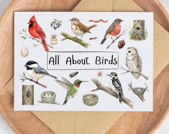 Montessori Bird Study Printables | Beaks, Nests, Life Cycle (PDF Download + Canva Template)
