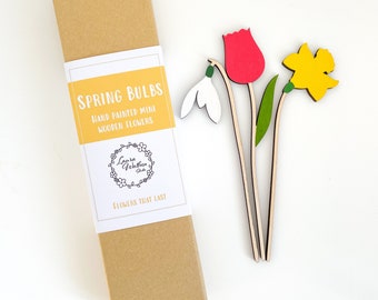 Mini Wooden Flower Gift Set, Spring Bulbs Bouquet