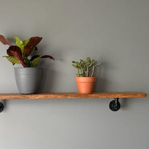 May include: A wooden shelf with two potted plants against a gray wall. The shelf is supported by black pipe fittings. One plant has red and green leaves in a gray pot, and the other is in an orange pot.
