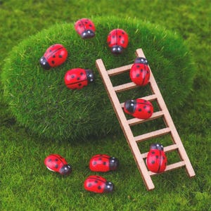 May include: Several red ladybug ornaments with black spots and heads are arranged on green moss. A small wooden ladder is placed amongst the ladybugs. The image suggests a miniature garden setting.