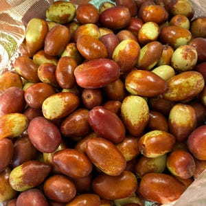 May include: A close-up shot of a pile of jujubes, also known as red dates, in a burlap sack. The fruits vary in color from green to reddish-brown, with an oval shape. The jujubes are fresh and appear to be recently harvested.