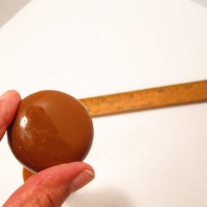 May include: A smooth, round, brown stone with a glossy finish.