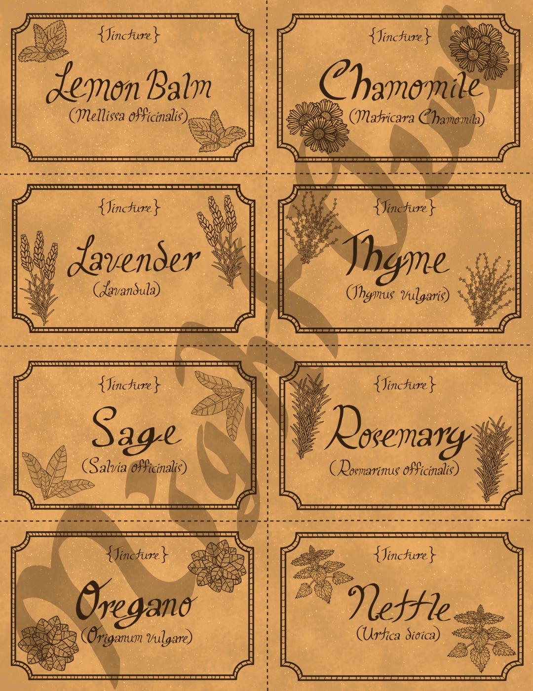 Printable Apothecary Herb Labels, Hand Drawn Tincture Label Mini Pack ...