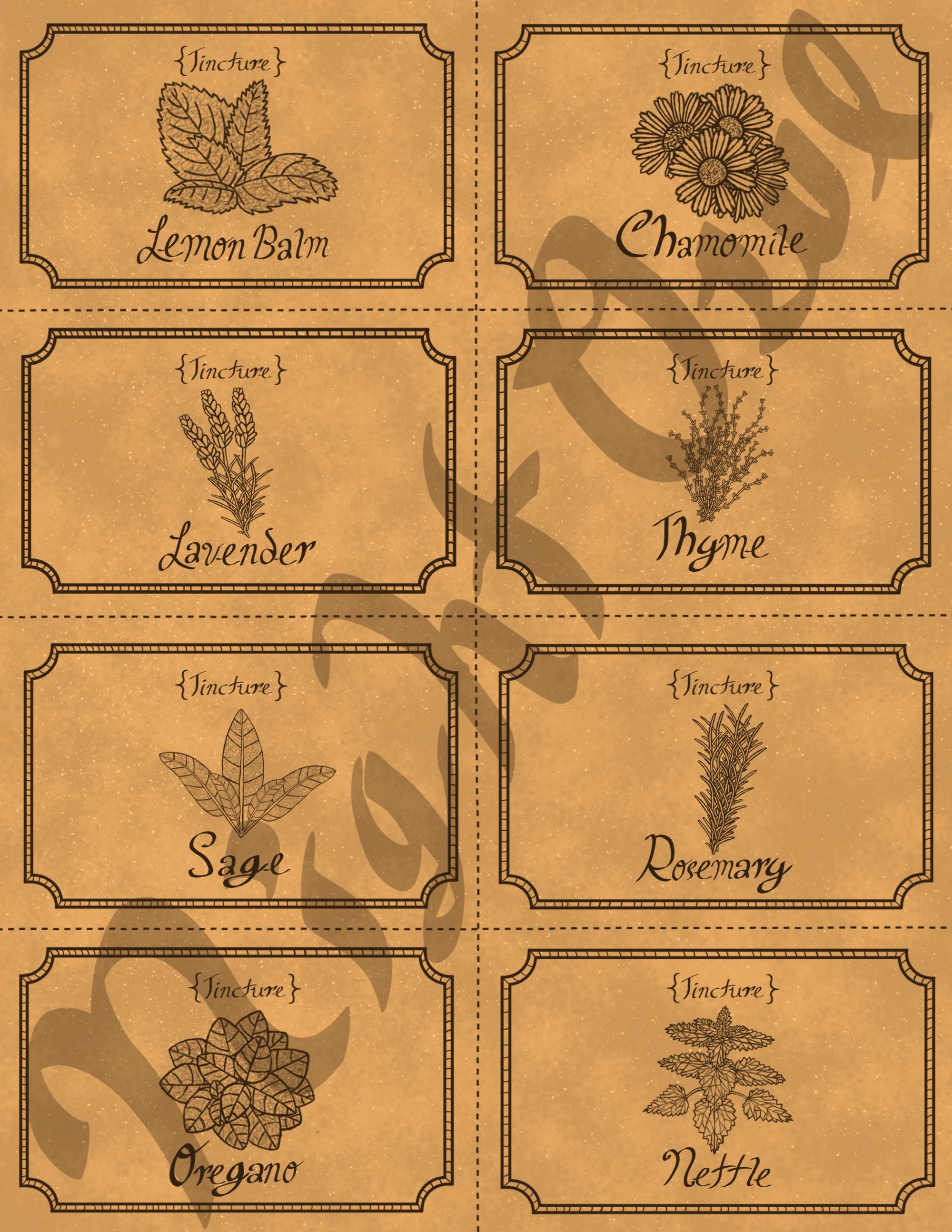 Printable Apothecary Herb Labels, Hand Drawn Tincture Label Mini Pack ...
