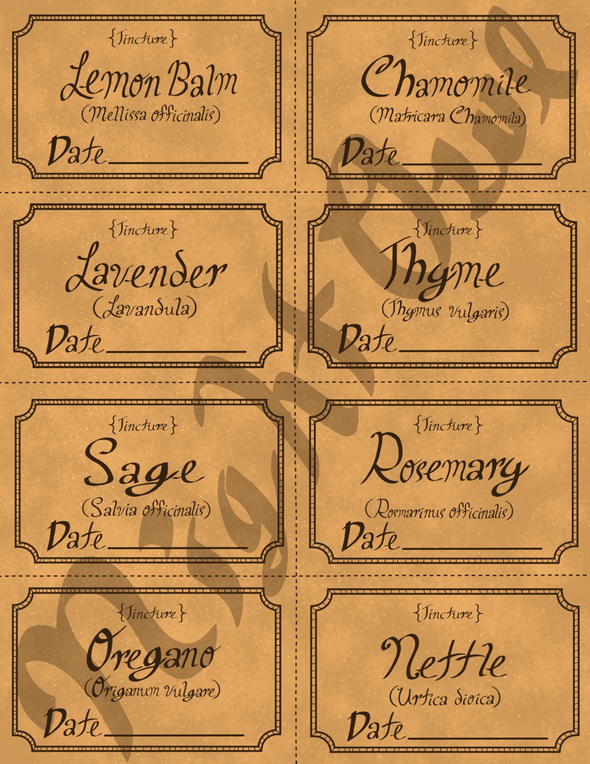Printable Apothecary Herb Labels, Hand Drawn Tincture Label Mini Pack ...