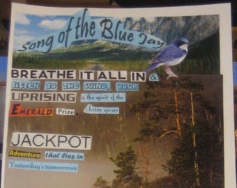 Song of the Blue Jay an Original Signed Poetry and Paper Collage Wall Art