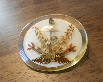 broche de lucite vintage et de fleurs séchées.  Épingle à fleurs.  accessoire vintage.