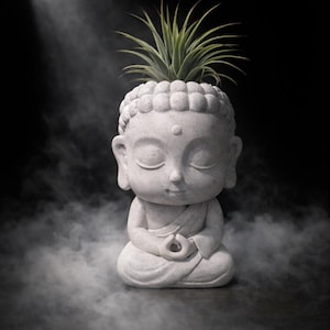 May include: A serene, light gray Buddha statue in a meditative pose, with closed eyes and hands in a gesture of prayer. The statue holds a small green plant on its head. The background is dark with a spotlight and a smoky effect.
