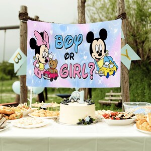 May include: A rectangular banner featuring Minnie Mouse in pink and Mickey Mouse in blue, with the text "BOY OR GIRL?" in the center. The background is a soft gradient of pink and blue with bubble and star accents. The banner is displayed outdoors.