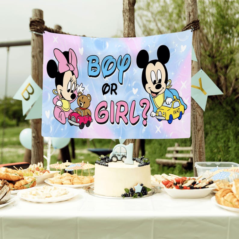 May include: A rectangular banner featuring Minnie Mouse in pink and Mickey Mouse in blue, with the text "BOY OR GIRL?" in the center. The background is a soft gradient of pink and blue with bubble and star accents. The banner is displayed outdoors.
