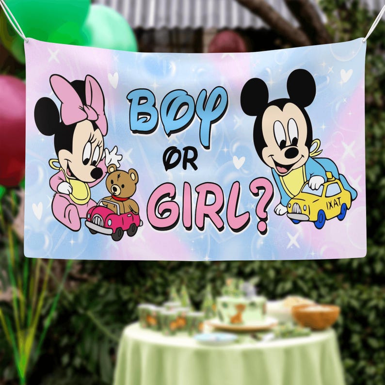May include: A rectangular banner featuring Minnie Mouse in a pink outfit with a pink car and Mickey Mouse in a blue outfit with a yellow car. The text reads Boy or Girl? against a light blue and pink background with white hearts and sparkles.