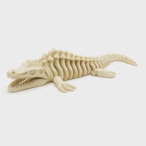 3D Printed Articulated Crocodile Skeleton Fidget Toy, Flexible Bone Dragon Desk Toy