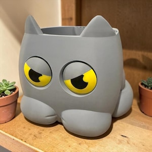 May include: A grey cat-shaped planter with two pointed ears at the top. The planter features large, round, recessed eyes with bright yellow irises and black pupils, giving it a grumpy expression. The base is rounded with two front paws.