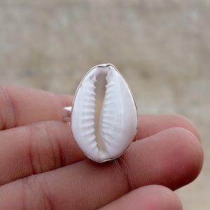 Puede incluir: Un anillo con una concha de cauri blanca engastada en un bisel de metal plateado. La concha tiene una superficie lisa y brillante con una abertura longitudinal central caracterizada por pequeñas crestas dentadas en los bordes.