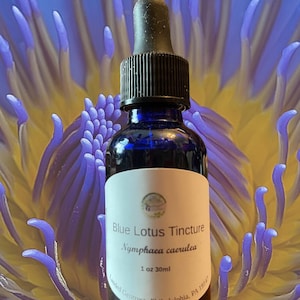 Blue Lotus tincture