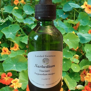 Nasturtium tincture 2 oz