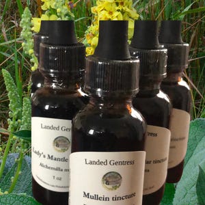 Mullein tincture
