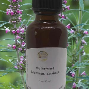 Motherwort Tincture