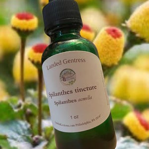 Tintura di Spilanthes acmella
