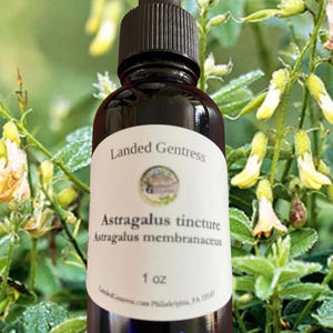 Astragalus tincture