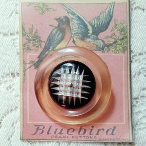 Vintage Reverse Carved Lucite Button Large Coat Escutcheon