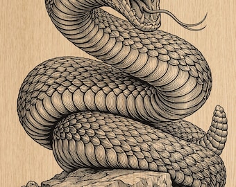 Klapperschlange Laser Gravur PNG | Coiled Snake Texas Star Design (Holzbranddatei)