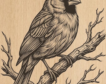 Kardinal Vogel Laser Gravur PNG | Detailliertes Wald-Singvogel-Design (Digitale Datei)