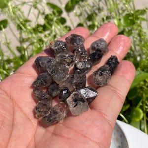 Op de afbeelding: Een verzameling kleine, ruwe, doorschijnende kwartskristallen met donkere, naaldachtige insluitingen in hun structuur. Deze natuurlijke mineraalspecimens vertonen onregelmatige, grillige vormen met variërende gradaties van helderheid en donkere, rookgrijze patronen.