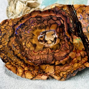 Puede incluir: Un espécimen de ópalo boulder pulido que presenta patrones orgánicos concéntricos en tonos marrón oscuro, bronceado y ocre. La superficie muestra vetas intrincadas en forma de red con sutiles destellos iridiscentes de color azul y verde.