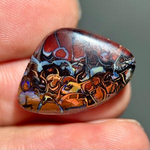 May include: A polished boulder opal gemstone featuring a dark brown ironstone matrix with intricate, swirling patterns of iridescent blue, orange, and gold colours. The stone has a smooth, rounded, irregular shape with a high-gloss, reflective surface.