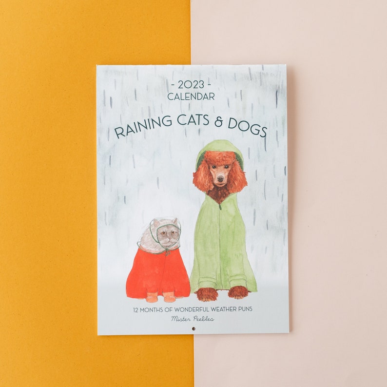 VENTE Calendrier 2023 Il pleut des chats et des chiens Etsy France